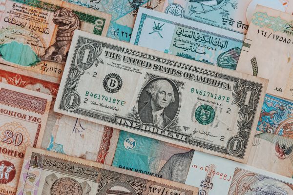 startup investment insights