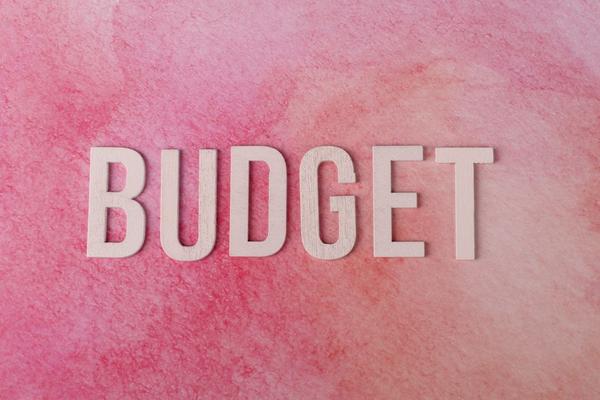 ppc budget planning